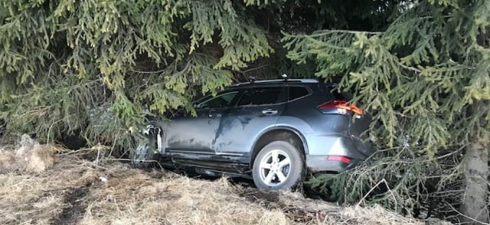 Perde il controllo dell'auto, sbanda e finisce tra gli alberi